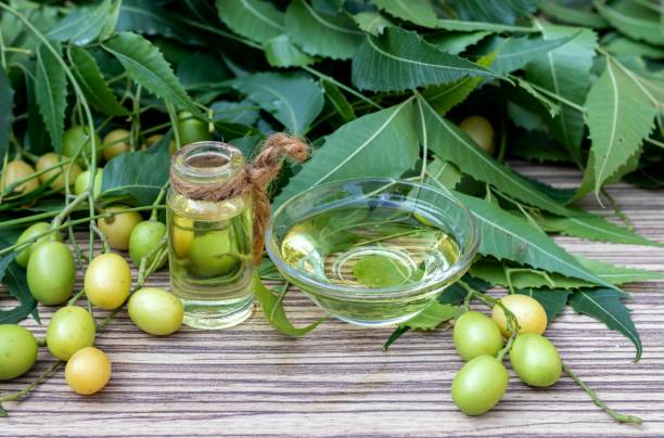 Natural Haircare from Neem: DIY Recipes for a Healthy & Lustrous Hair